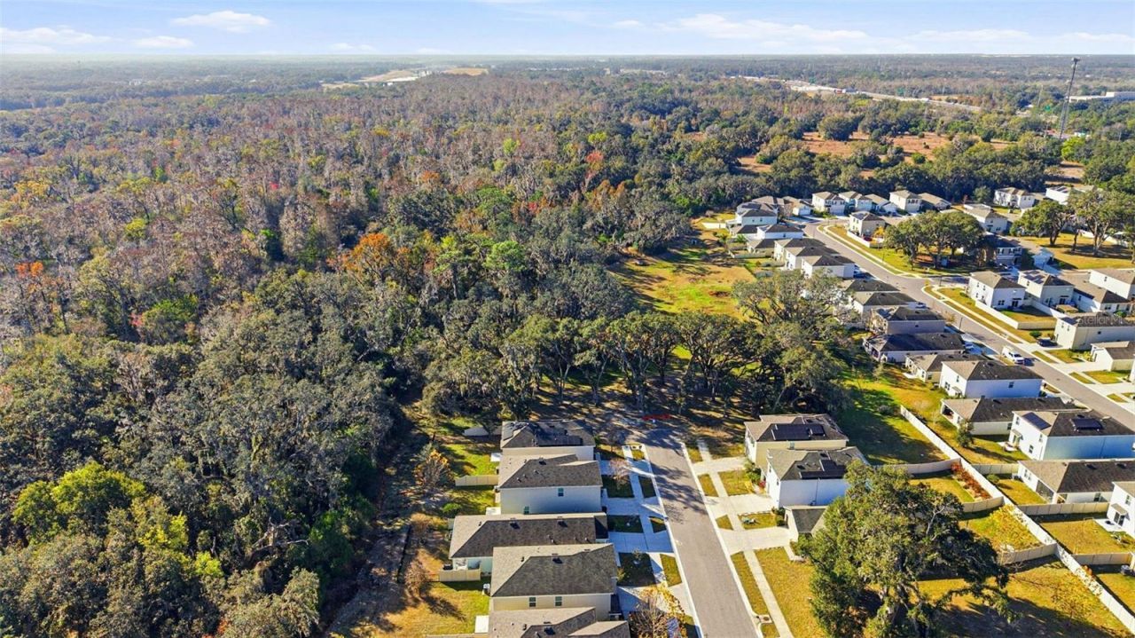 12403 Pagoda Place, Tampa, FL 33637 Photo