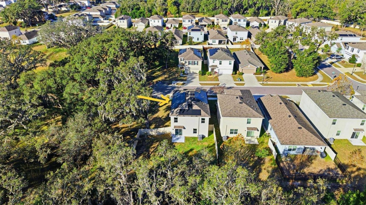 12403 Pagoda Place, Tampa, FL 33637 Photo