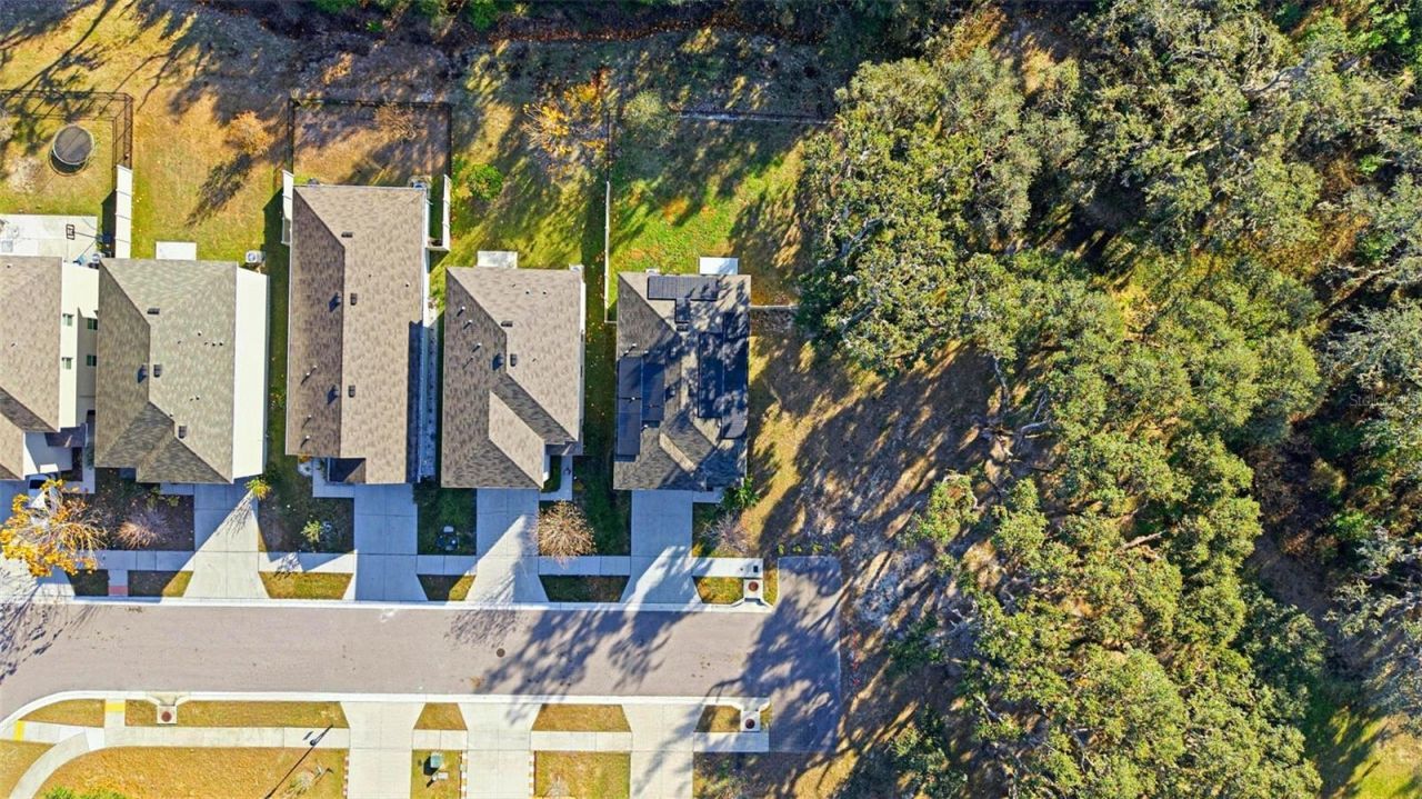 12403 Pagoda Place, Tampa, FL 33637 Photo