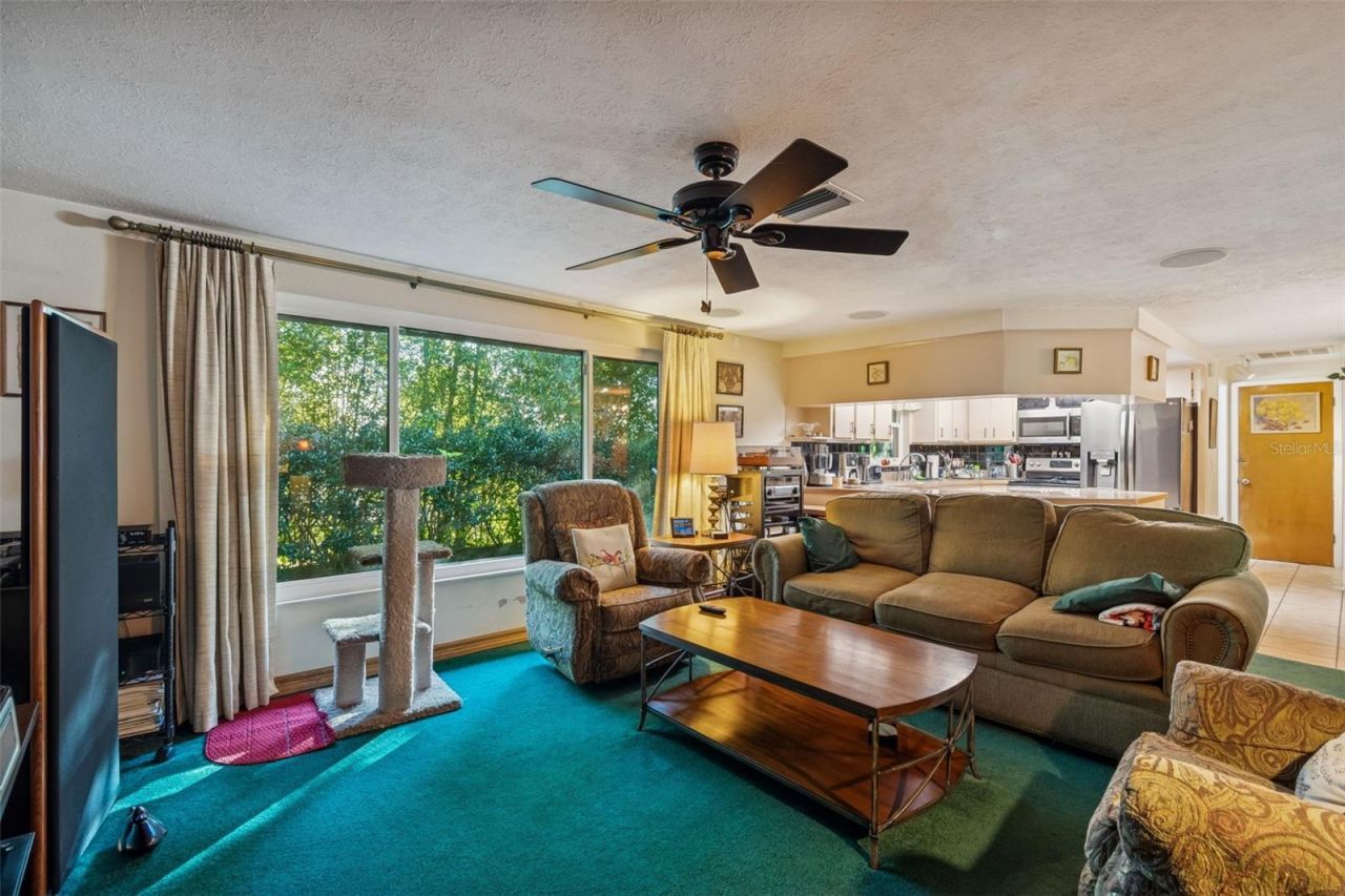 11600 Meadowlane Drive, Dade City, FL 33525 Photo