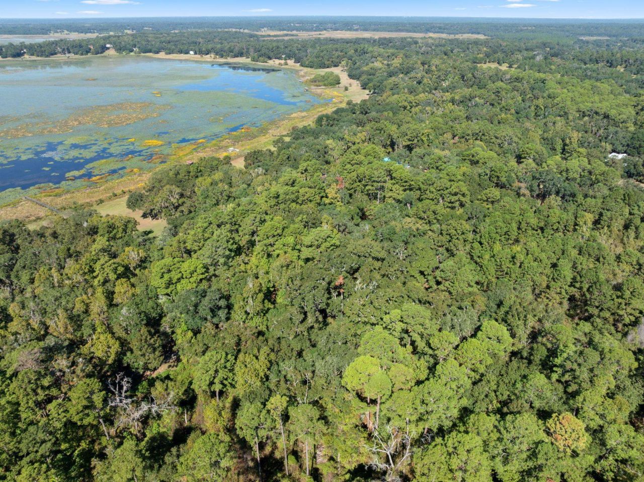 5950 Miller Landing Cove, Tallahassee, FL 32312 Photo