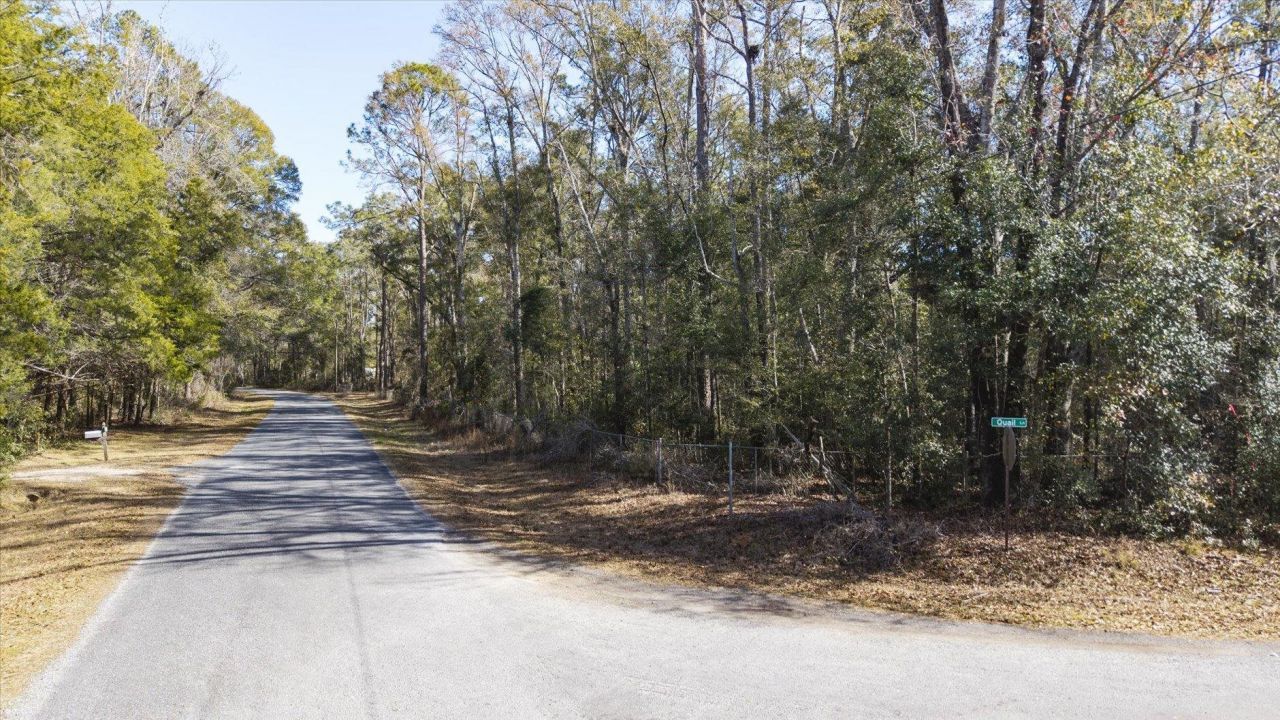 1264 Quail Lane, Monticello, FL 32344 Main Photo