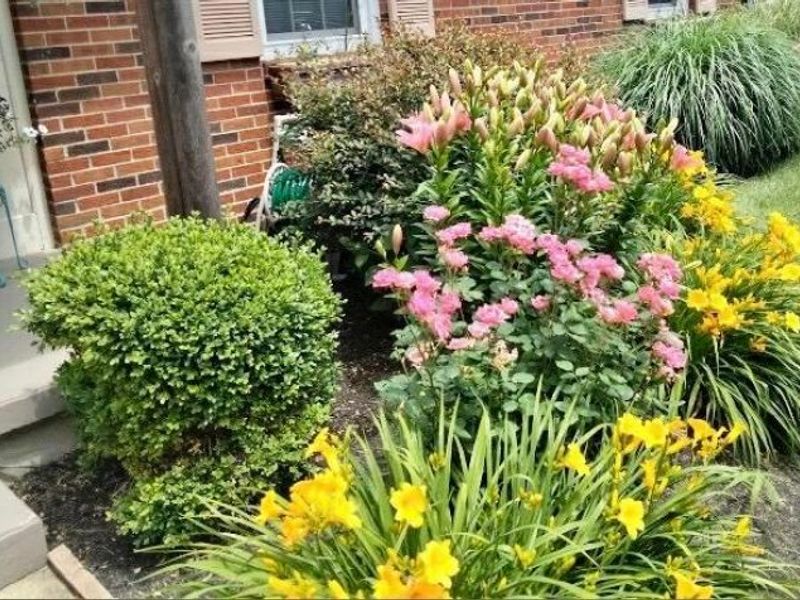 708 Damon Drive, Washington Court House, OH 43160 Photo 36