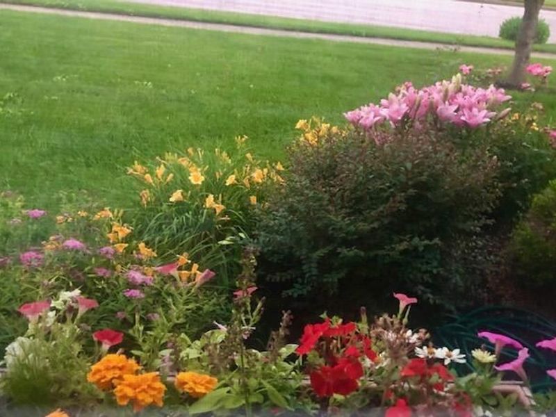 708 Damon Drive, Washington Court House, OH 43160 Photo 39