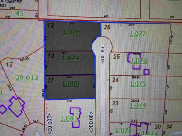 300 Hill Street, Centre, AL 35960