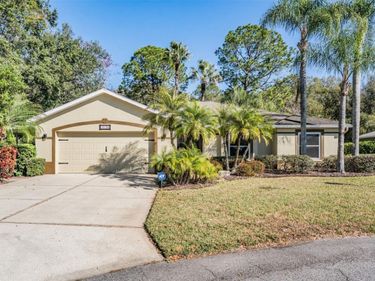 10133 COLLAR DRIVE, SAN ANTONIO, FL 33576