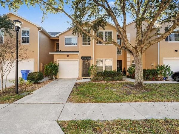 16318 PARKSTONE PALMS COURT, TAMPA, FL 33647
