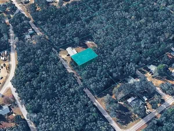 6600 N PAGODA TREE TERRACE, HERNANDO, FL 34442