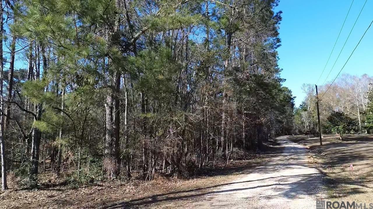 Tract C Mcclendon Ln, Amite, LA 70422 Main Photo