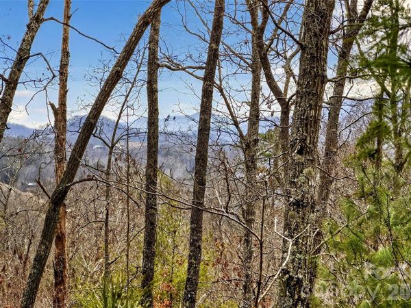 149 Turkey Trot Trail, Marshall, NC 28753