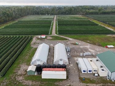 3171 Alabaster Road, Sherman Twp, MI 48763