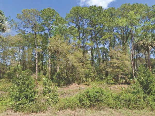 318 REDWOOD BOULEVARD, GEORGETOWN, FL 32139