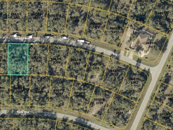 GRIGGS AVENUE, NORTH PORT, FL 34291