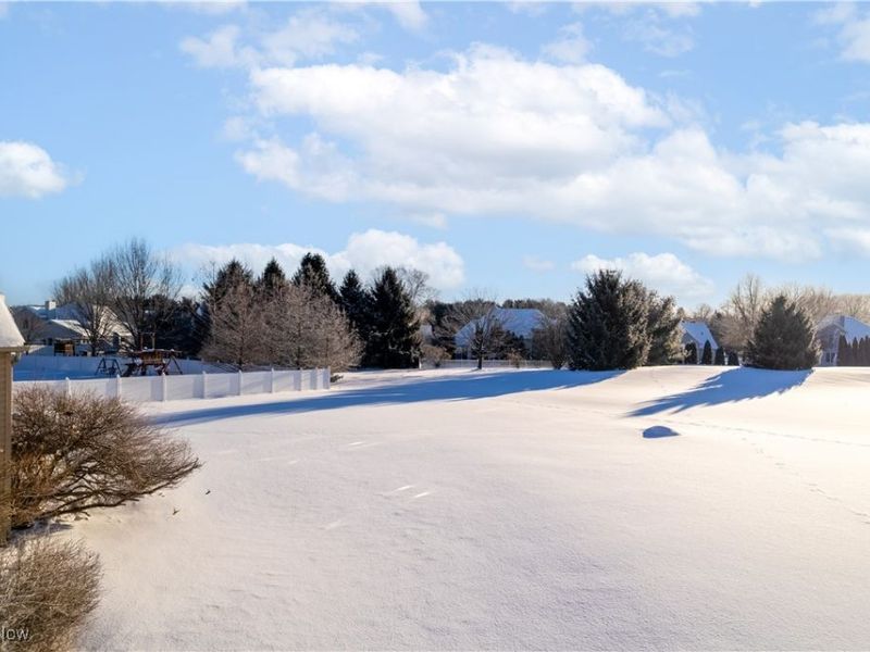 4051 Turnberry Drive, Medina, OH 44256 Photo 33