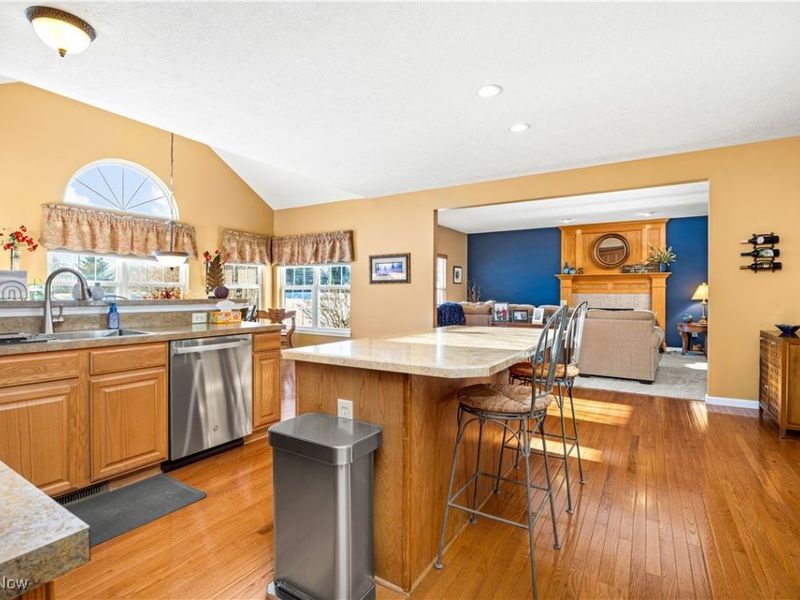 4051 Turnberry Drive, Medina, OH 44256 Photo 8