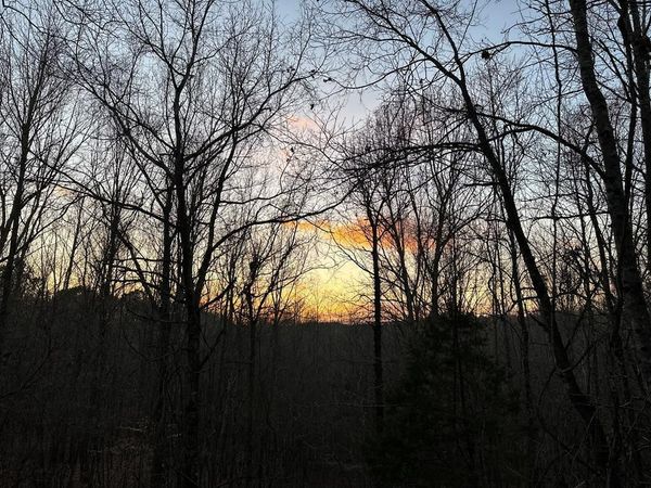 TBD Lakes Dr S, Oxford, MS 38655