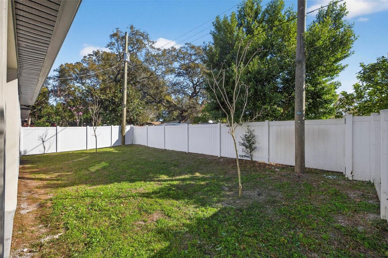 8509 N Newport Avenue, Tampa, FL 33604 Photo