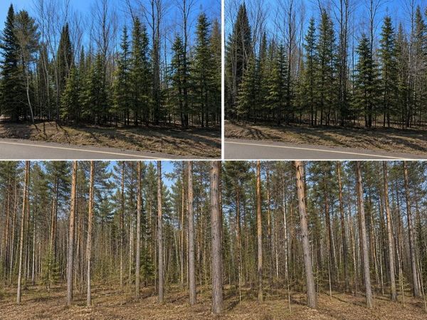 Garfield Road, Kingsley, MI 49649
