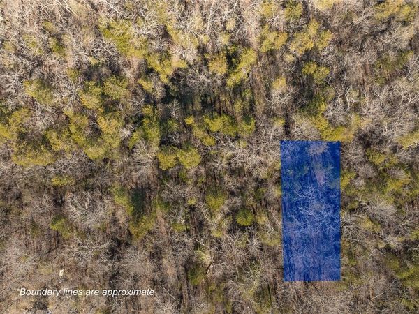 Lot 62 Fawn Street , Diamond City, AR 72644