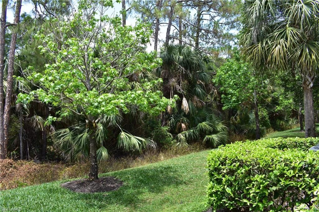 9072 Gervais Cir, Unit 306, Naples, FL 34120 Photo