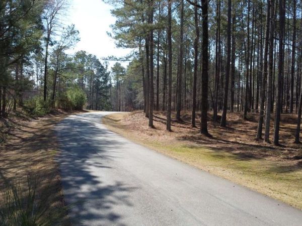 1041 Shadow Creek Way, Greensboro, GA 30642