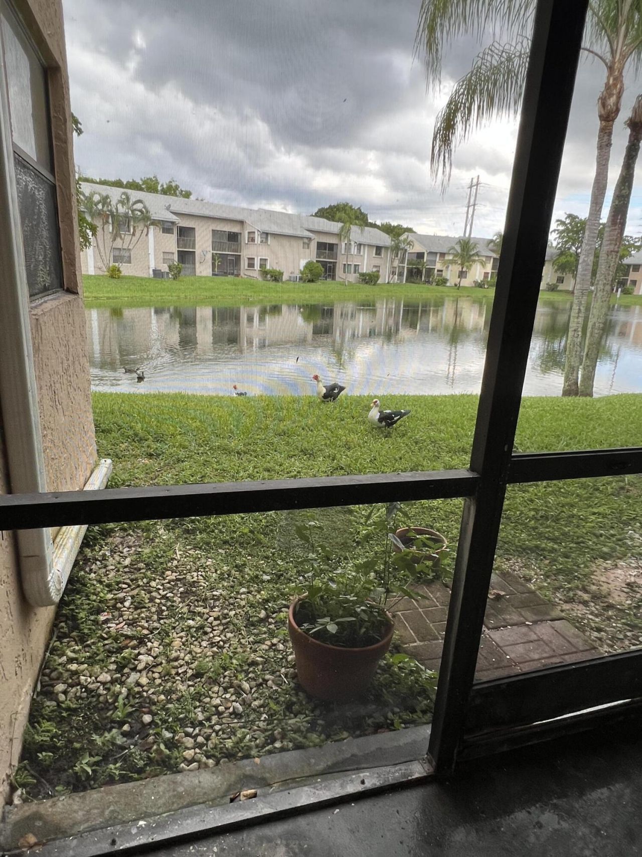 1021 Adams Avenue, Unit 1021f, Homestead, FL 33034 Photo