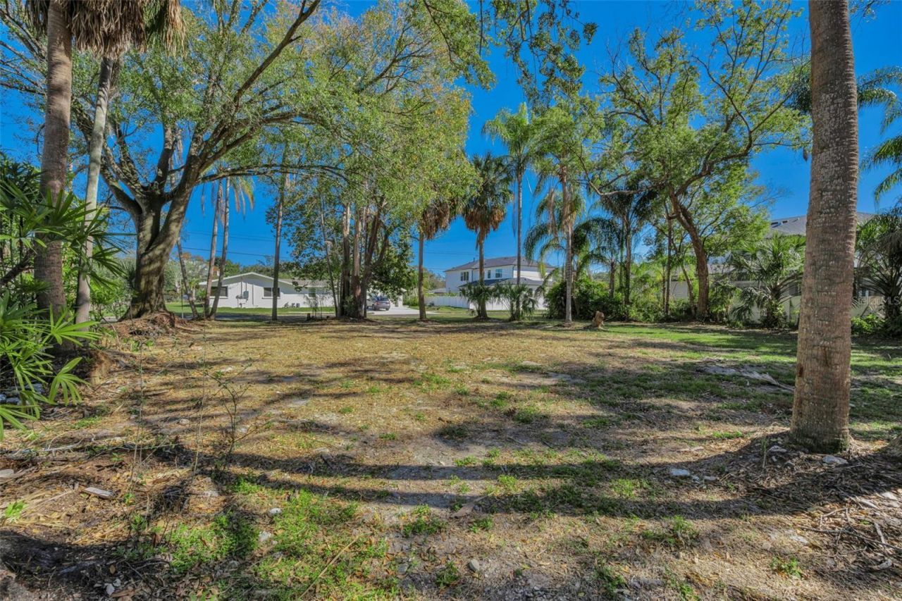 4202 W Leona Street, Tampa, FL 33629 Main Photo