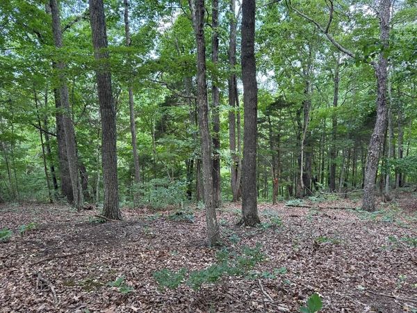 Lot 12 Cornerstone Pkwy, Allons, TN 38541
