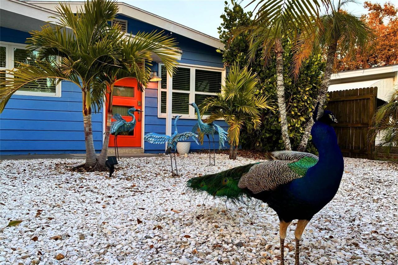 821 41st Street, Sarasota, FL 34234 Photo