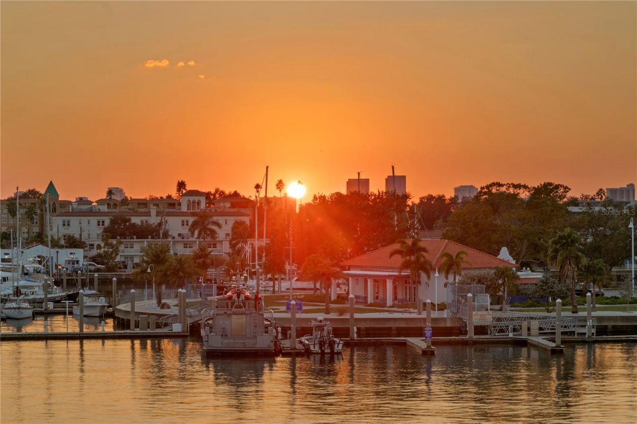 1037 Royal Pass Road, Tampa, FL 33602 Photo