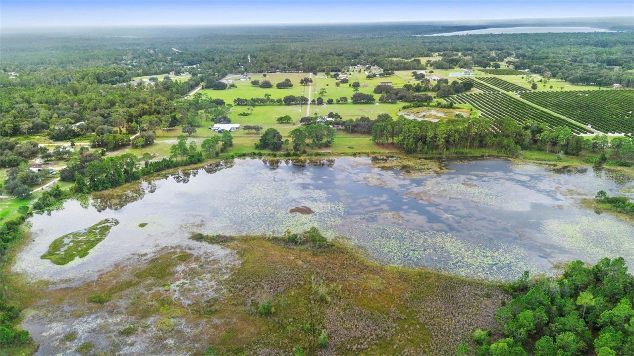 42554 Maggie Jones Road, Paisley, FL 32767 Photo