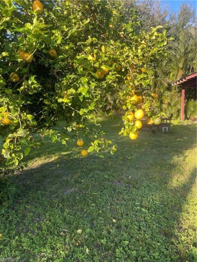 17441 Kentara Way, Fort Myers, FL 33913 Photo