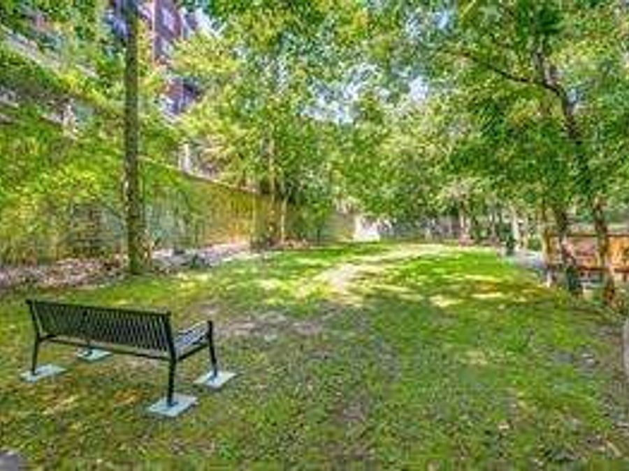 Property Image 62