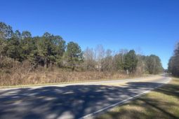 00 Robertson photo 4