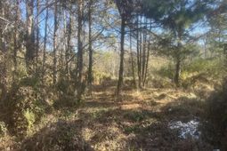 00 Robertson photo 4