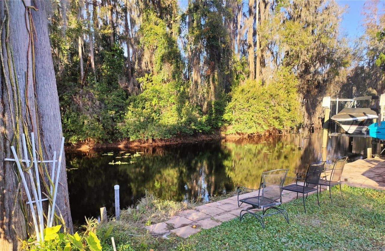 12131 Lacey Drive, New Port Richey, FL 34654 Photo