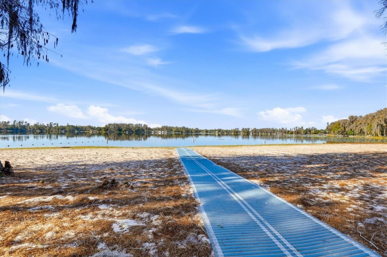 12131 Lacey Drive, New Port Richey, FL 34654 Photo