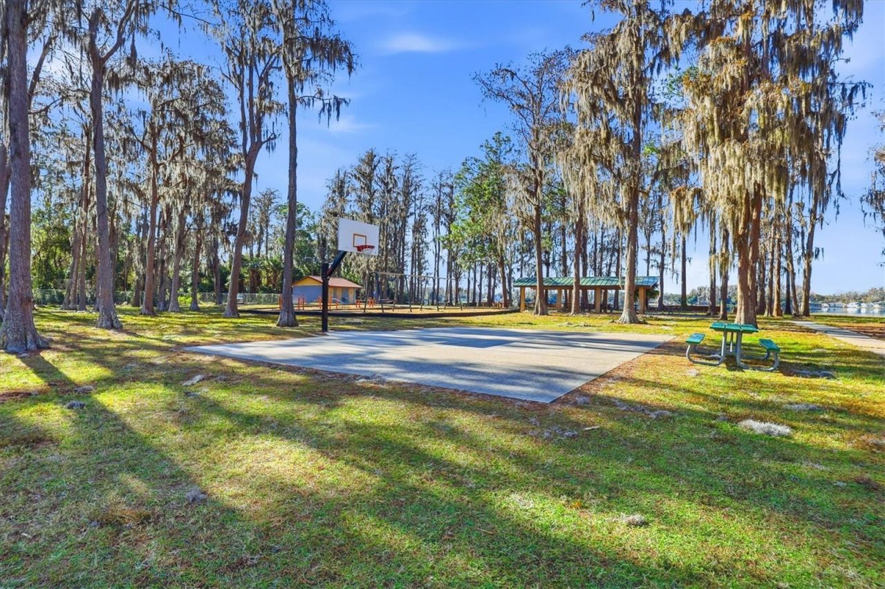 12131 Lacey Drive, New Port Richey, FL 34654 Photo