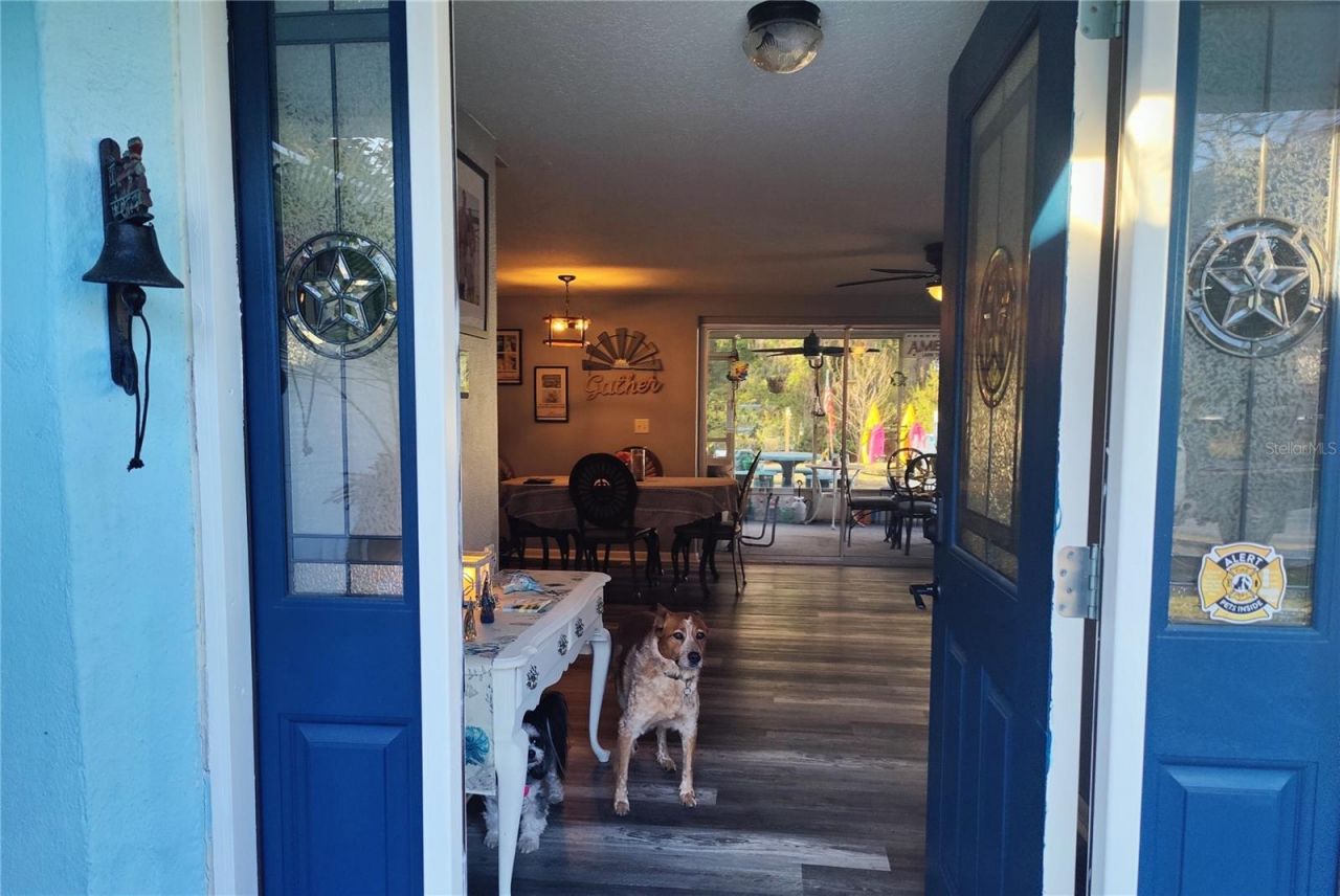 12131 Lacey Drive, New Port Richey, FL 34654 Photo