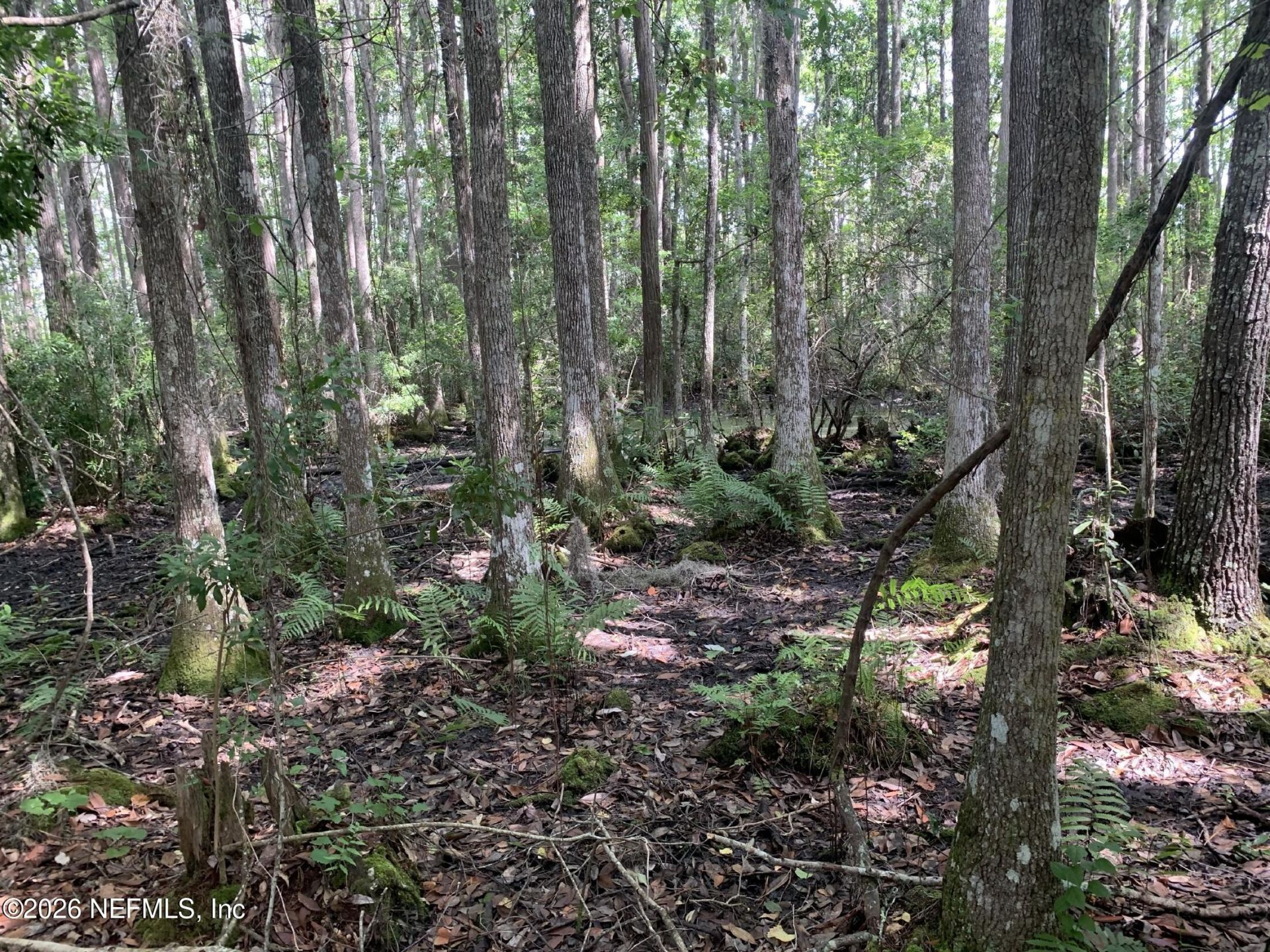 5530 County Road 209 S, Green Cove Springs, FL 32043 Photo