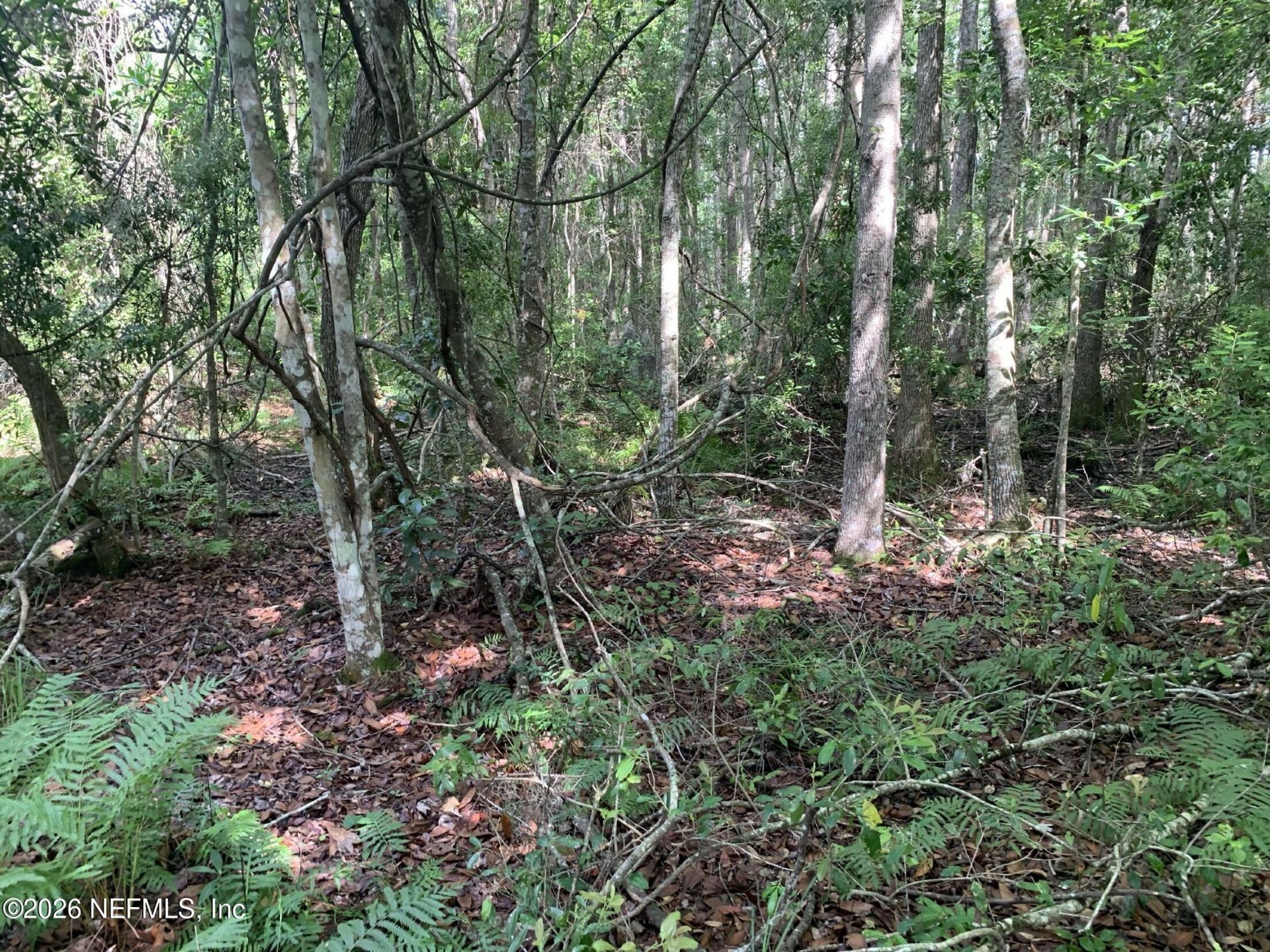 5530 County Road 209 S, Green Cove Springs, FL 32043 Photo
