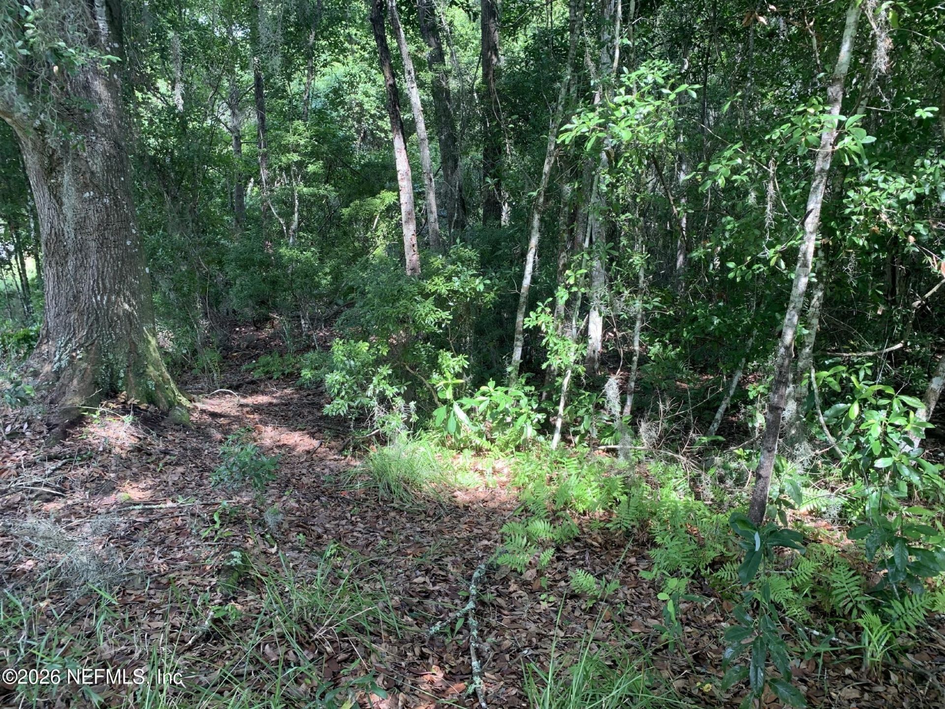 5530 County Road 209 S, Green Cove Springs, FL 32043 Photo