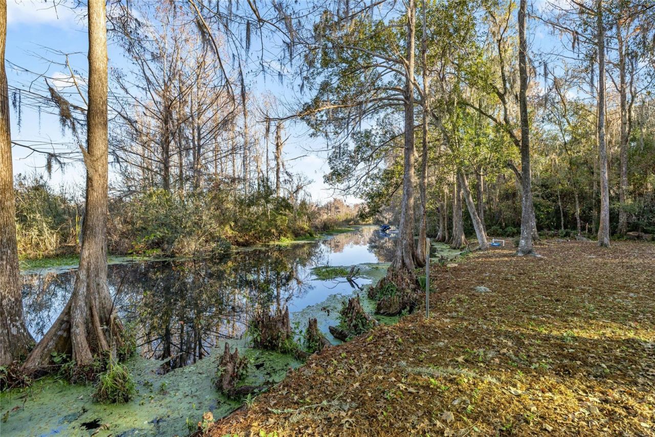 3411 W Cypress Drive, Dunnellon, FL 34433 Photo