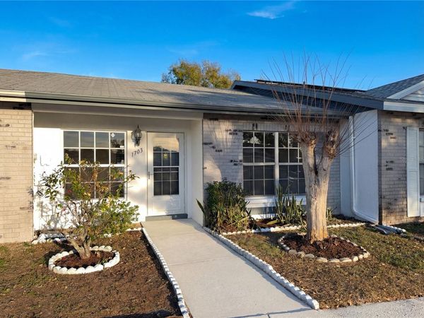 1703 OAK BRANCH COURT, BRANDON, FL 33511