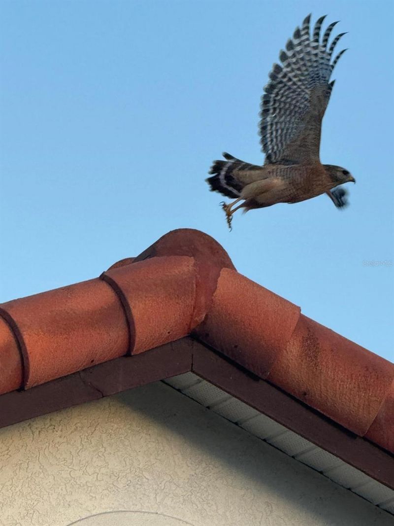 4054 Caddie Drive E, Bradenton, FL 34203 Photo