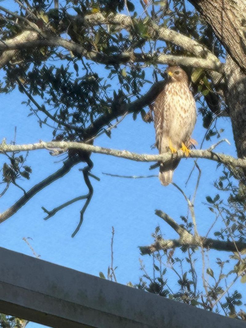 4054 Caddie Drive E, Bradenton, FL 34203 Photo