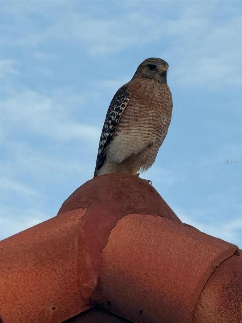 4054 Caddie Drive E, Bradenton, FL 34203 Photo