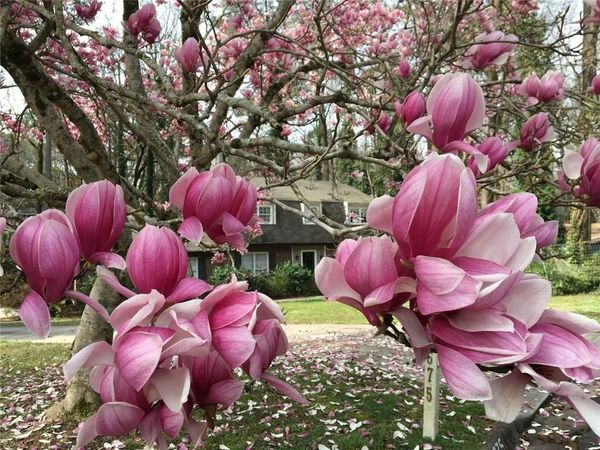 3675 Toxaway Court, Atlanta, GA 30341