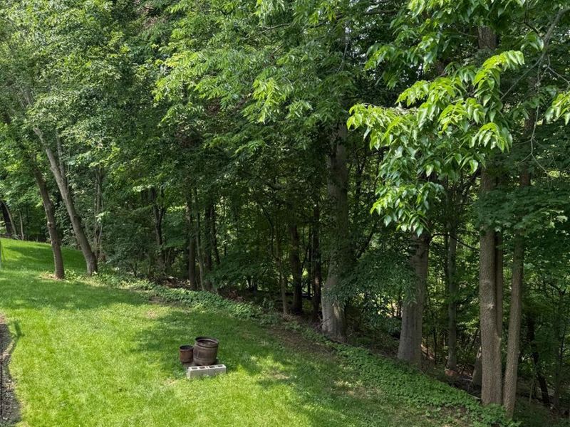 8030 Deershadow Lane, Montgomery, OH 45242 Photo 44