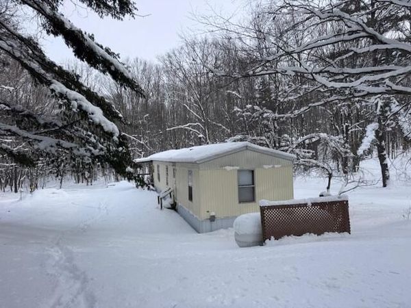 7808 E 48th Street, Chase, MI 49623